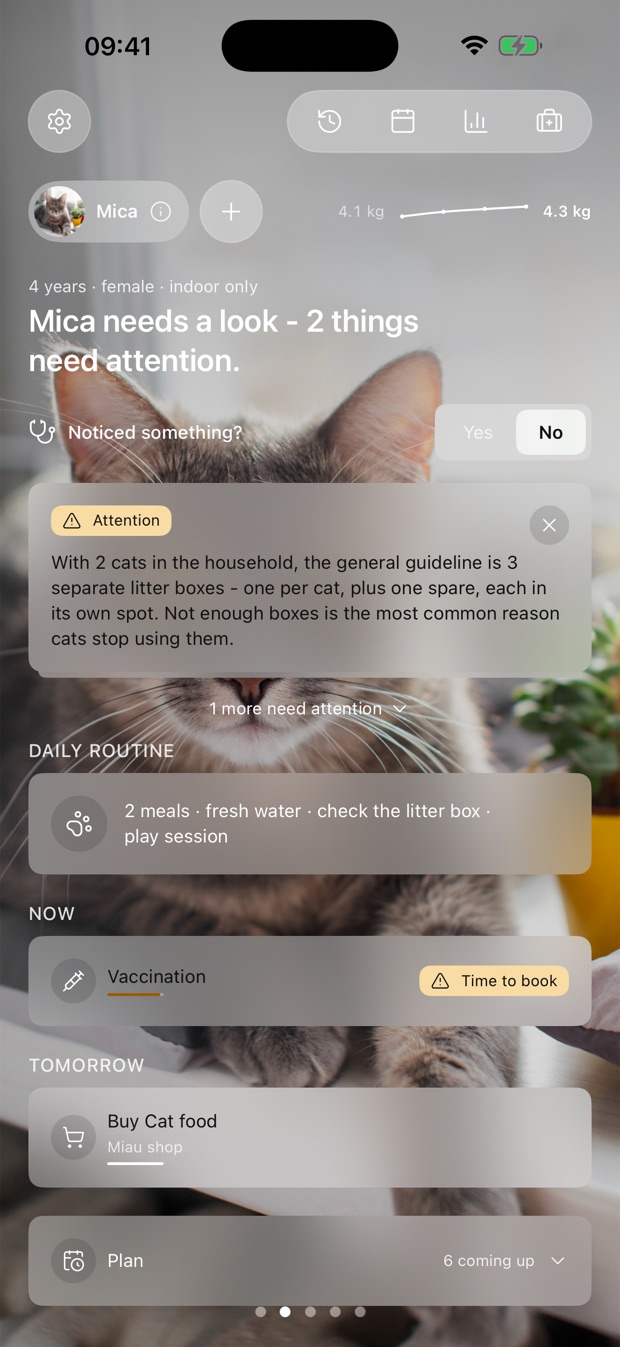 Click Cat home screen: her photo, her weight as a line, and what needs attention today