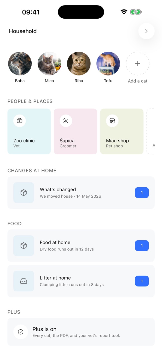 The household: every cat, people and places, food and litter