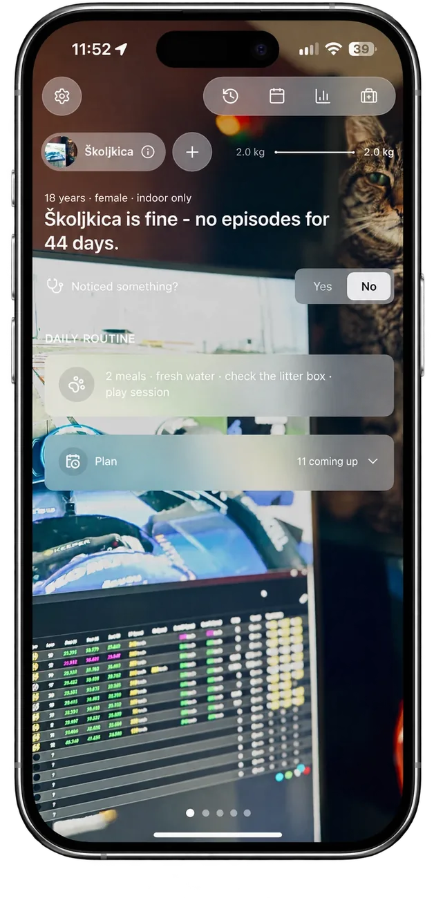 Click Cat, mobilna aplikacija koju je razvio Krojač, na telefonu